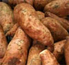 SweetPotato